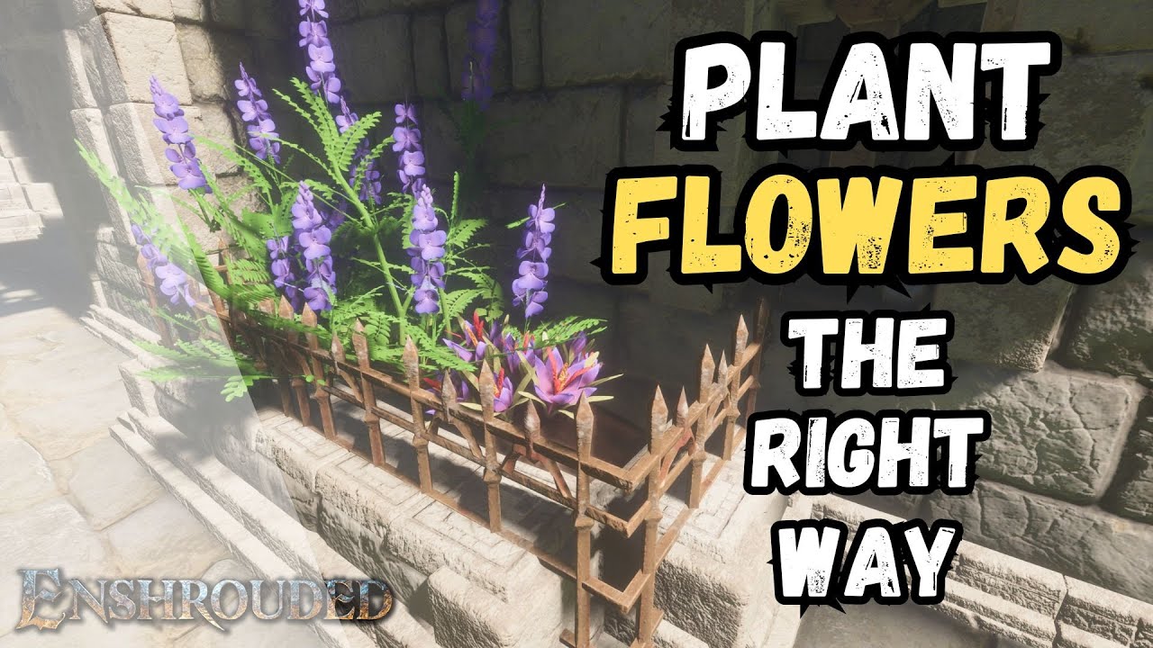 Enshrouded Tips | Plant Flowers correctly!!