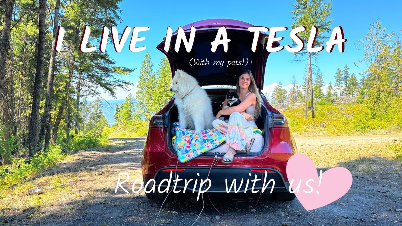 Tesla ROADTRIP! (I live in a Tesla) #canadaroadtrip #tinyliving #carcamping #vanlife #pettravel
