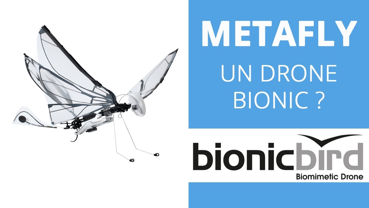 METAFLY BIONICBIRD : Un drone biomimétique ?