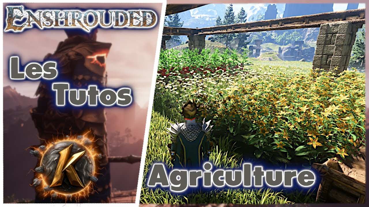 Enshrouded Tuto: Agriculture et tableau des buff! Guide sur la fermiere les semis et les plantations